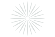 Chrysanthemum Pyromaniax Fireworks